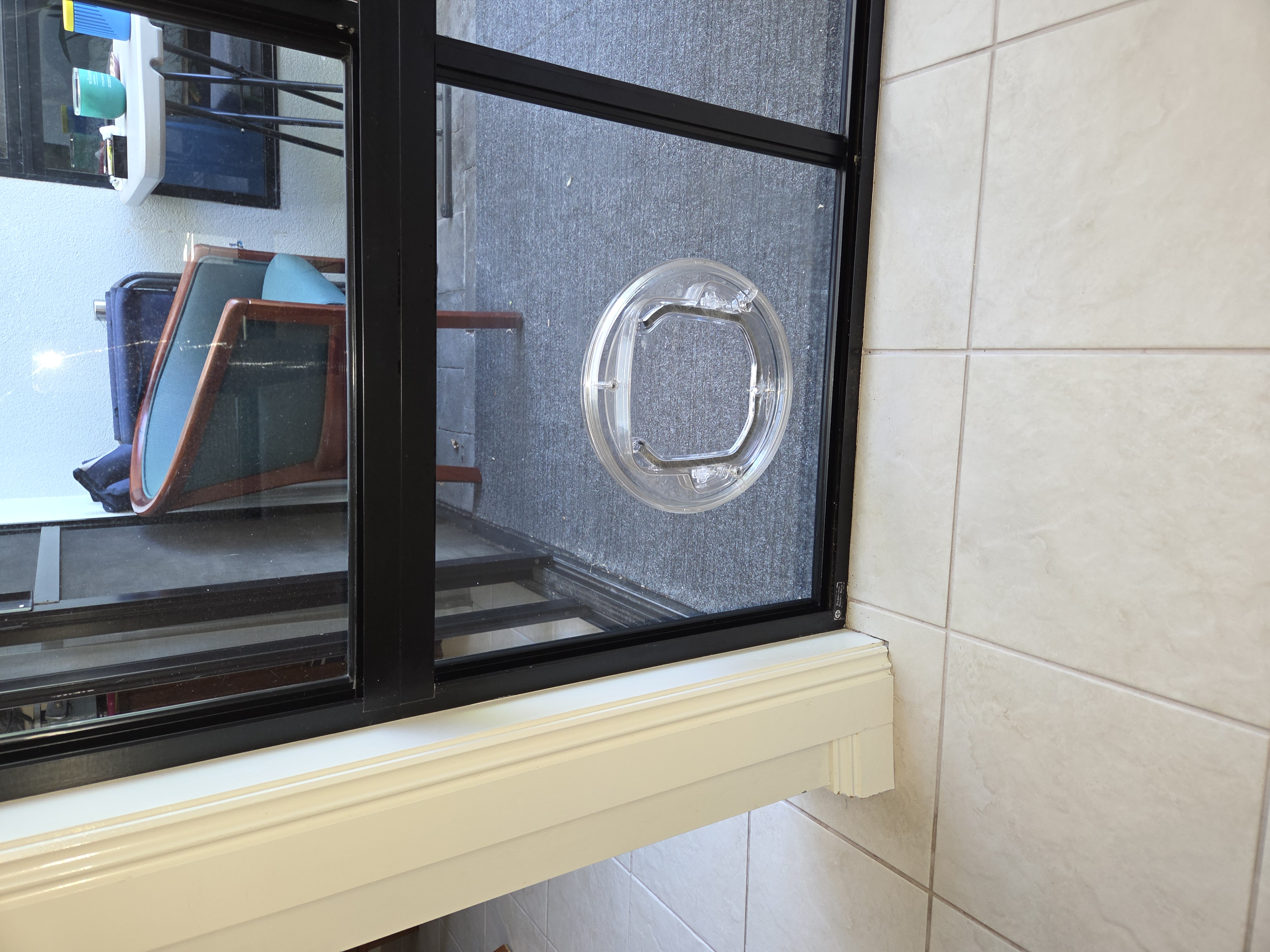 Pet Door in Glass