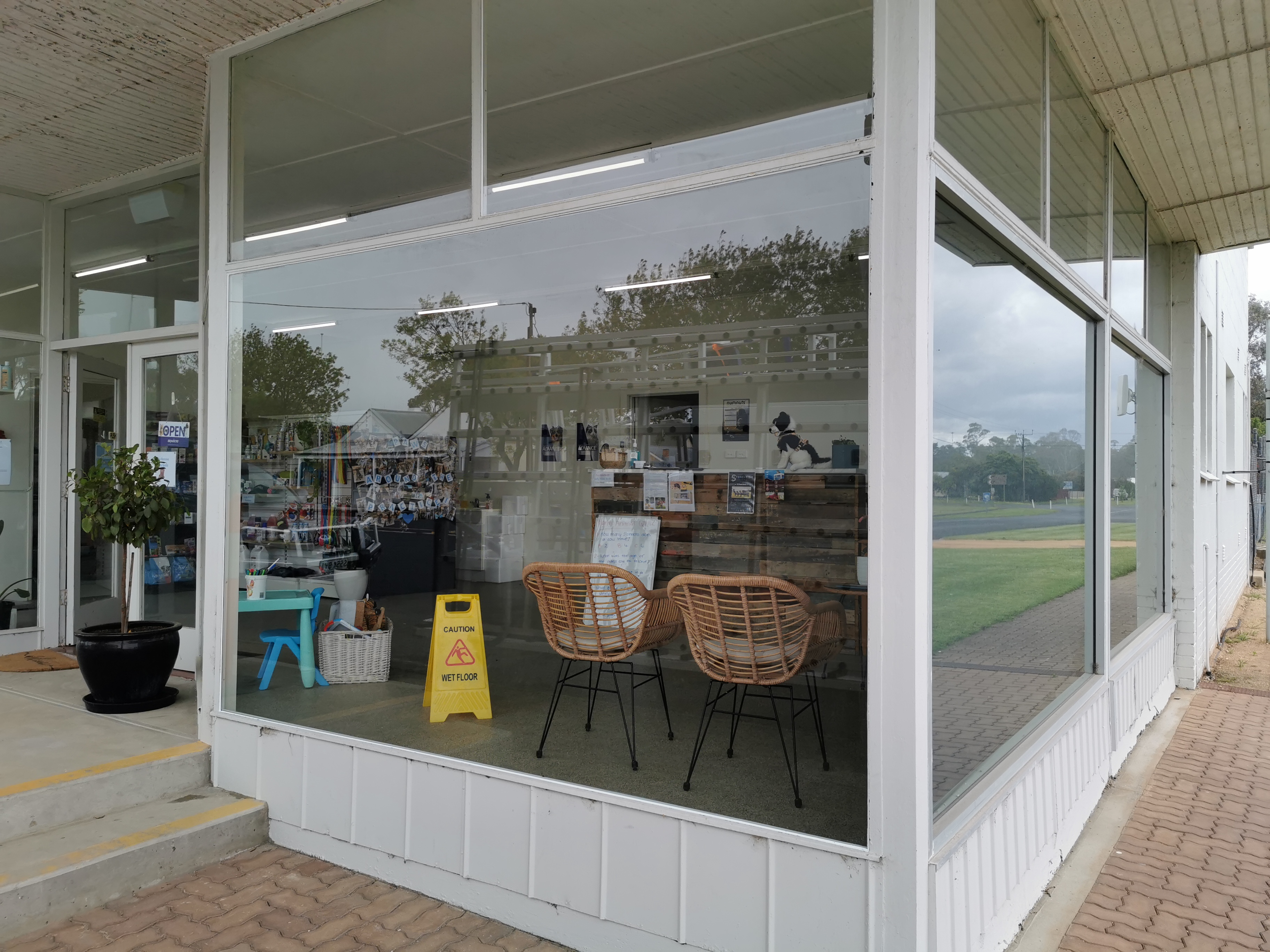 Commercial Window Glazing
